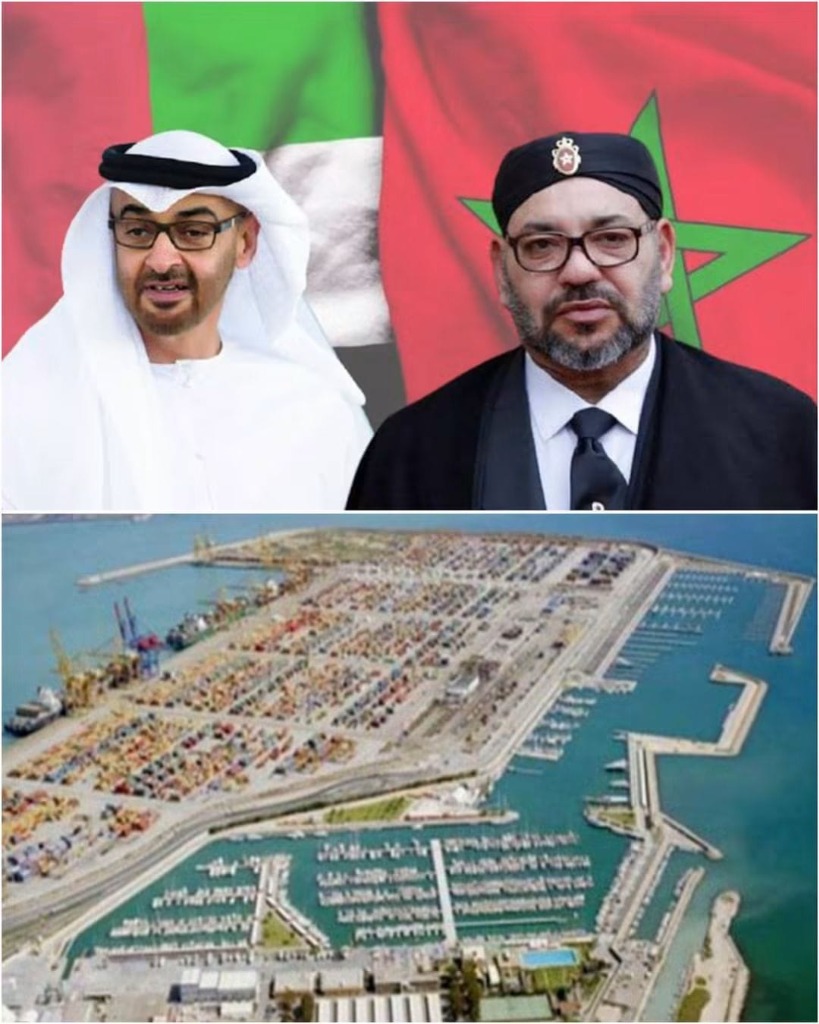Alliance Maroc-Émirats de 25 Mds $ dans l'Hydrogène et l'Ammoniac Vert à Dakhla : Rôle Stratégique du Port Atlantique et Impact Foncier